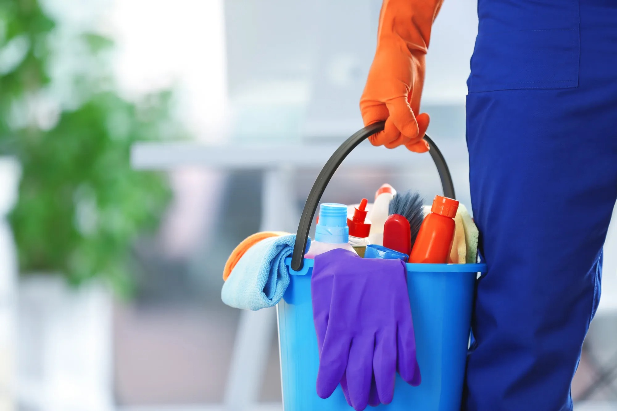 Lease Cleaners