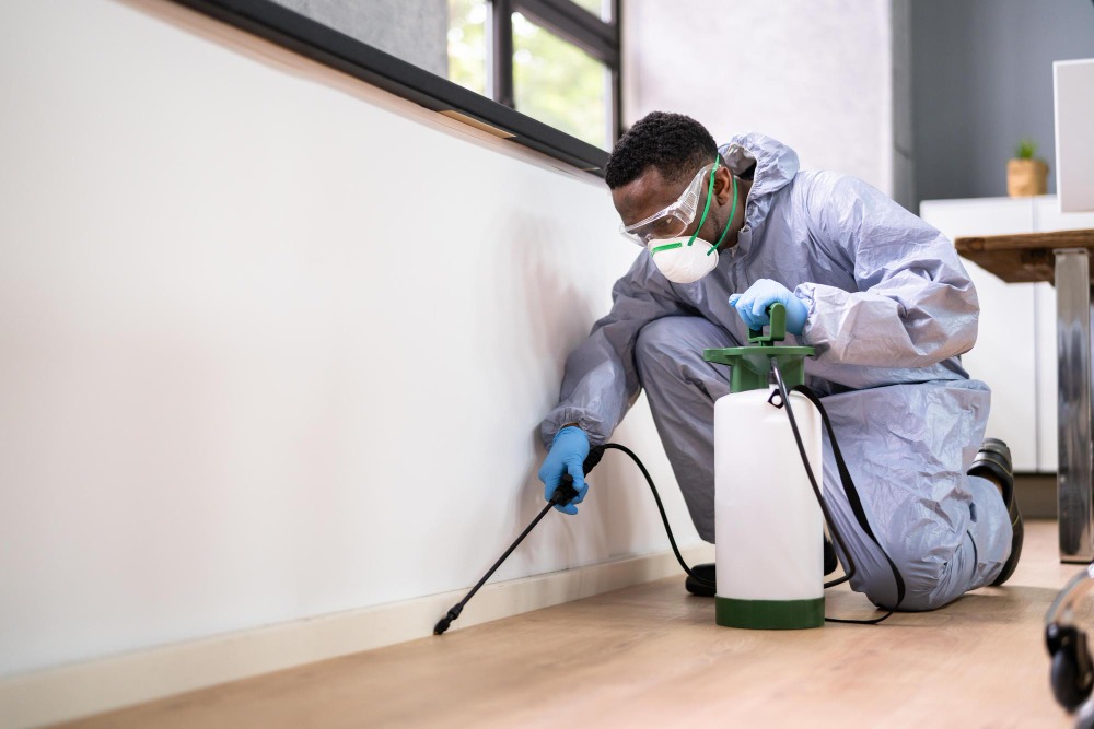 Bond Cleaners