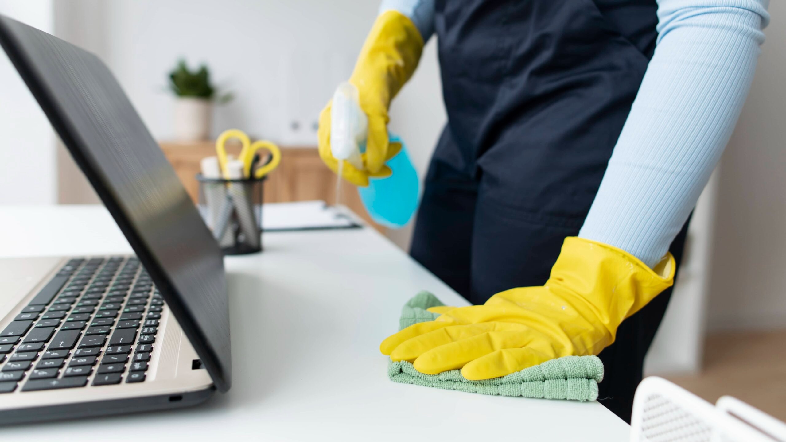 Bond Cleaning Service