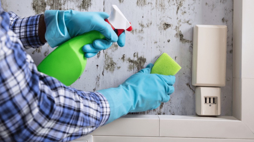 Bond Cleaning Service